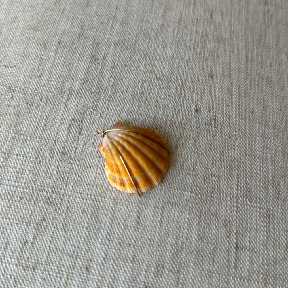 Sunrise sea shell - Picture 5 of 7